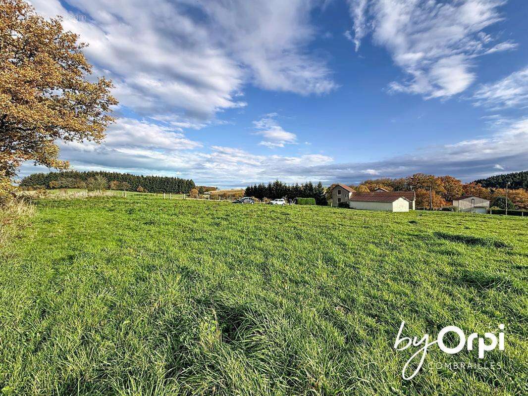 Terrain à YOUX