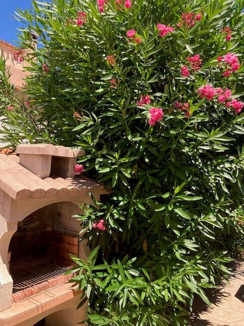 Maison à CANET-EN-ROUSSILLON