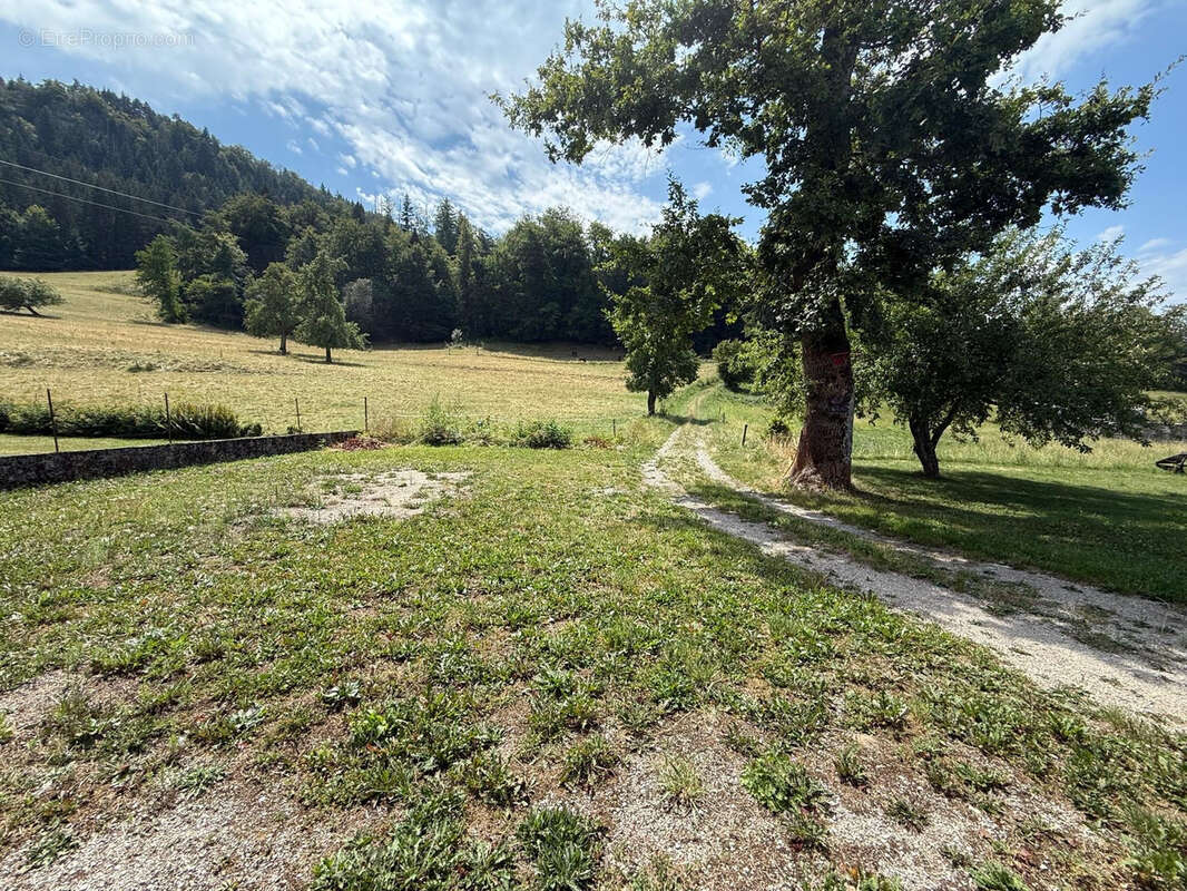 Saint-Jean-De-Tholome - Maison de 180m2 7 pièces - à vendre - photo 6