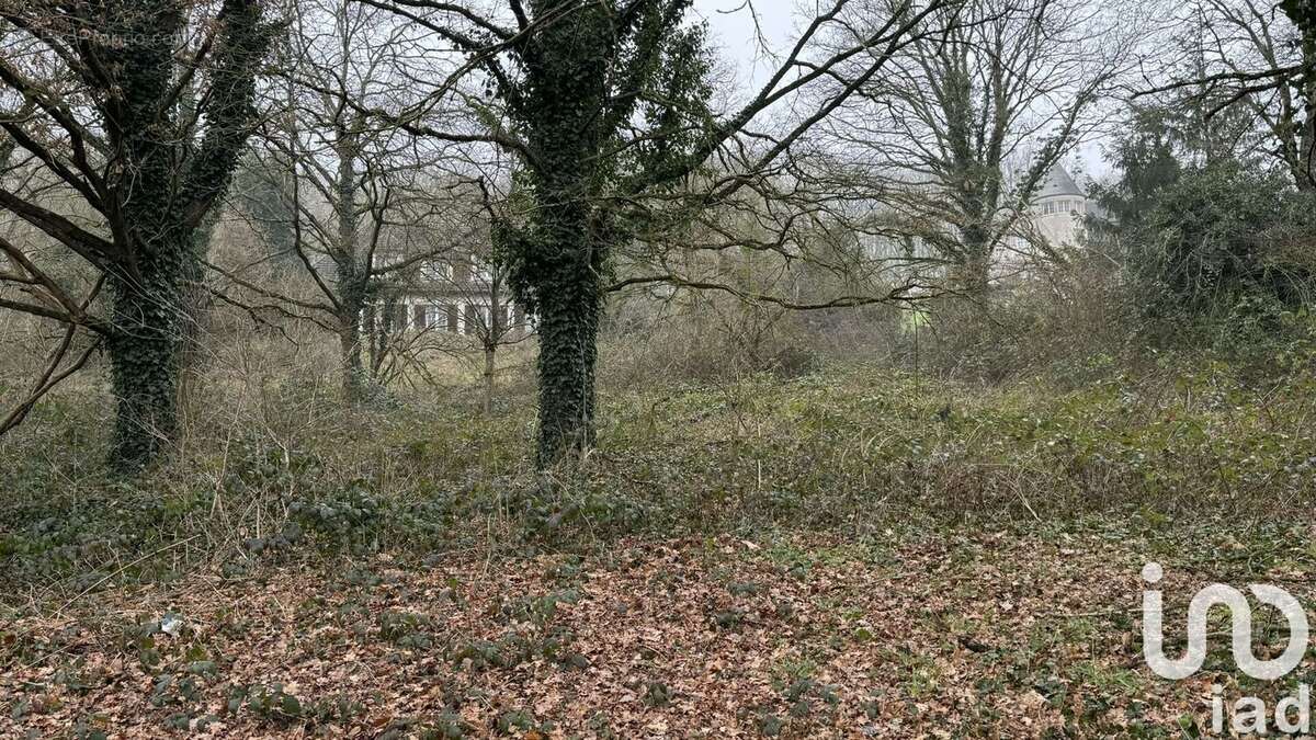 Photo 5 - Terrain à MARCOUSSIS