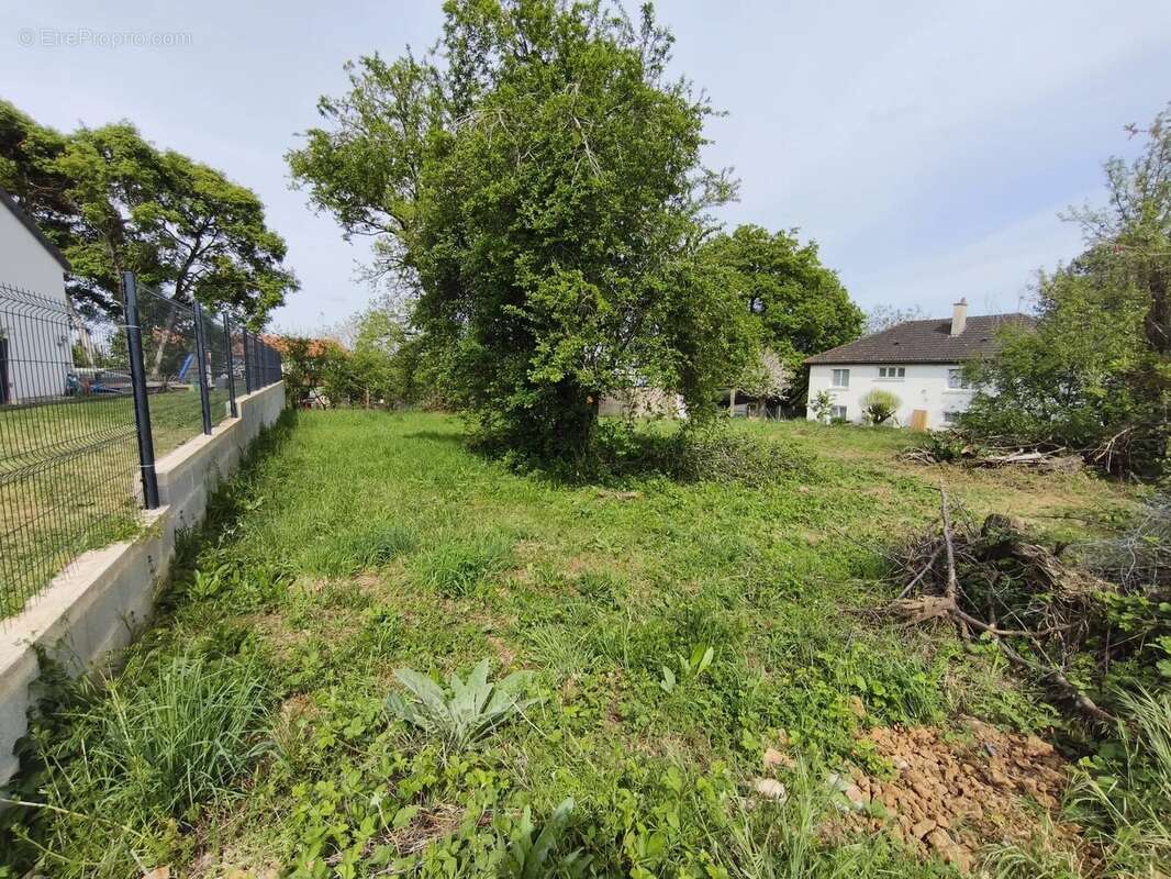 Terrain à VOUNEUIL-SOUS-BIARD
