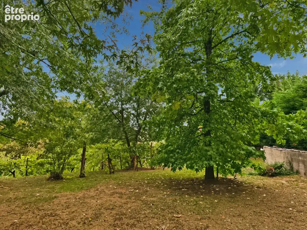 Villa d'architecte 162 m2, 2 ha terrain et bois - photo 4