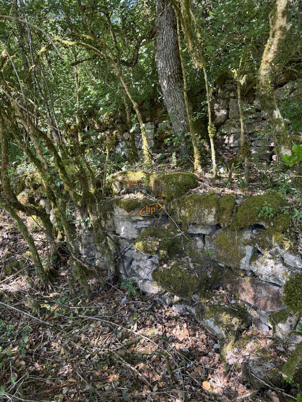 Vente Mazet Versols et Lapeyre, 1,25 hectares de terrains - photo 20
