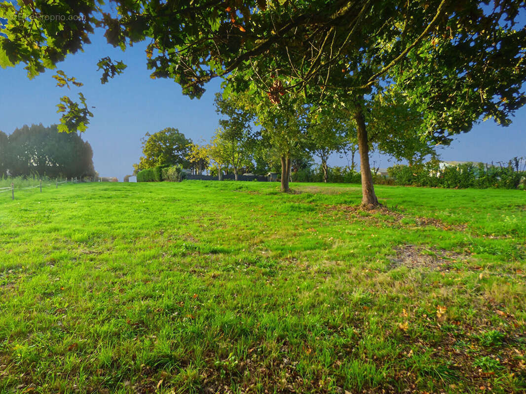 Terrain à DOL-DE-BRETAGNE
