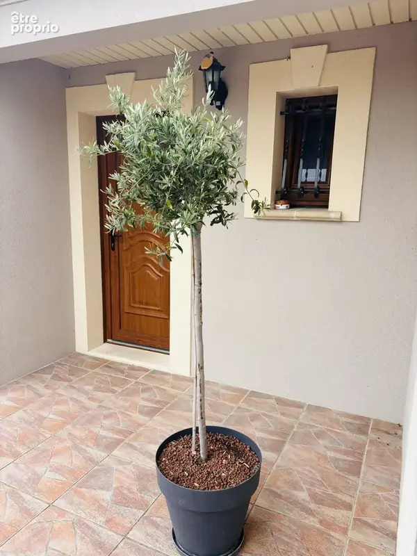 Maison de plain-pied 6 pièces 170 m2 avec sous-sol - photo 5