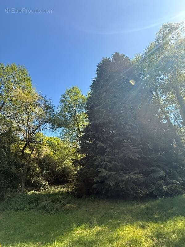 Maison à SAINT-VAURY