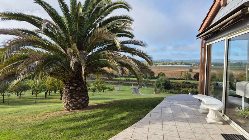Maison à PORT-SAINTE-MARIE