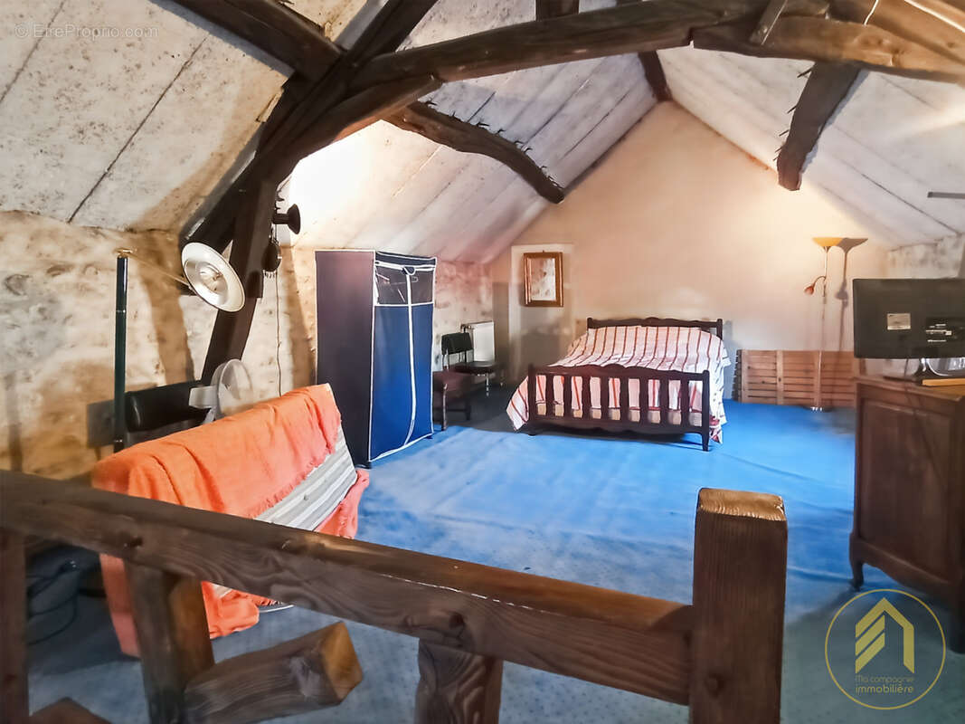 Commerce à SAINT-PIERRE-LES-NEMOURS