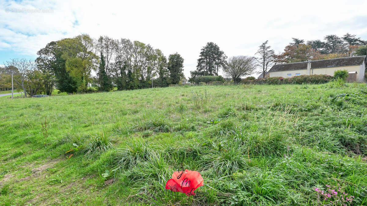 Terrain à BORDEAUX-SAINT-CLAIR