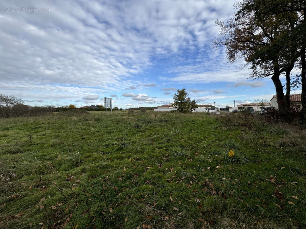 Terrain à FONSORBES