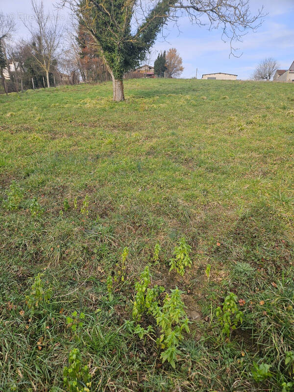 Terrain à SAINT-JEAN-SUR-VEYLE