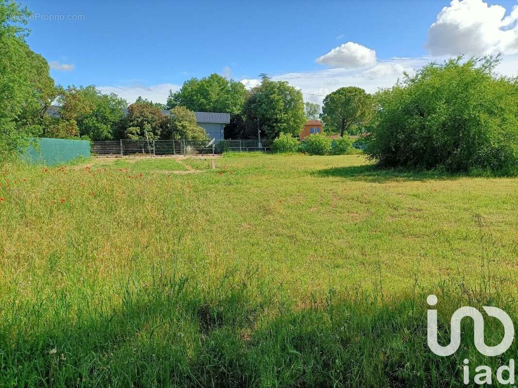 Photo 4 - Terrain à CARPENTRAS