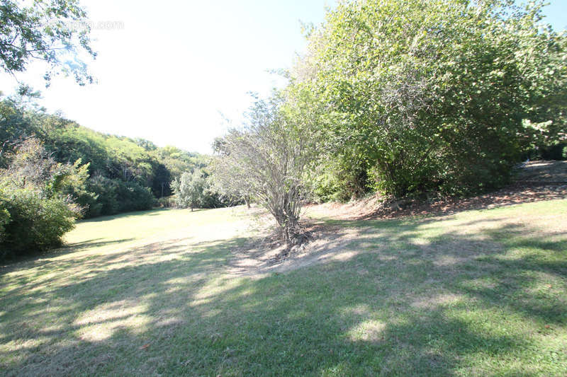 Maison à CASTELNAU-SUR-GUPIE