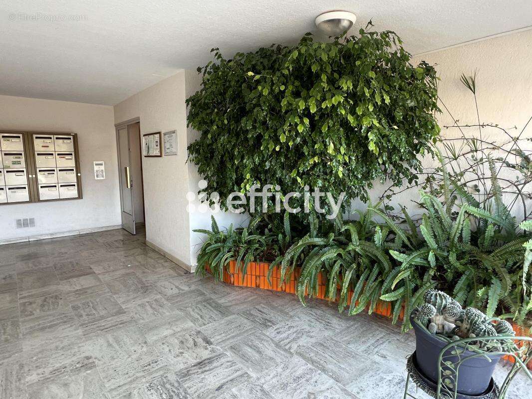 Appartement à DRAGUIGNAN