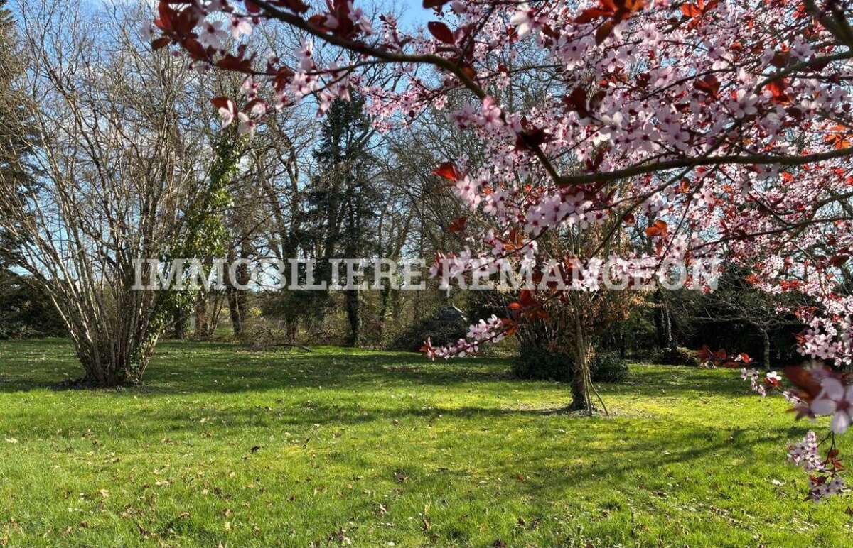 Maison à LAMOTTE-BEUVRON