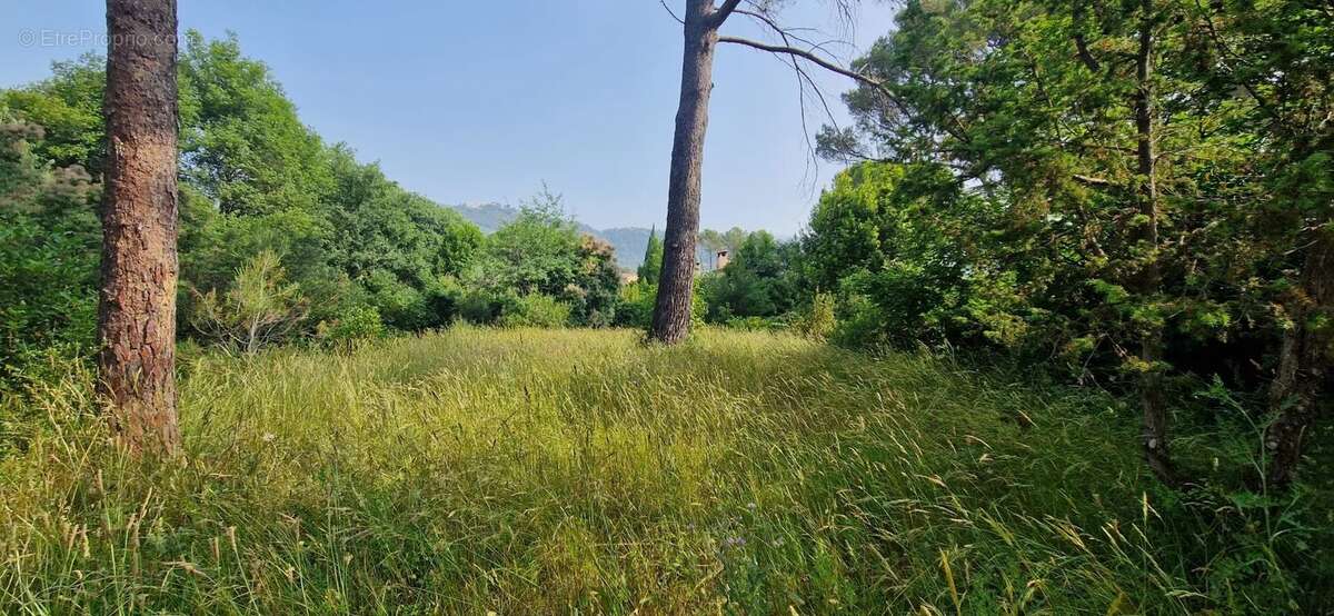 Maison à PEYMEINADE