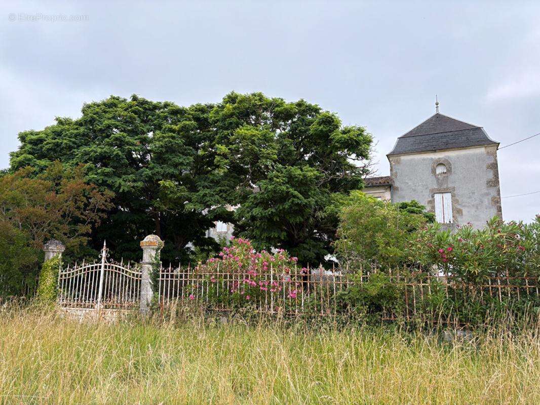Château confidentiel à Massugas, dominant les côteaux, entre Pellegrue et Sauveterre de Guyenne - photo 3