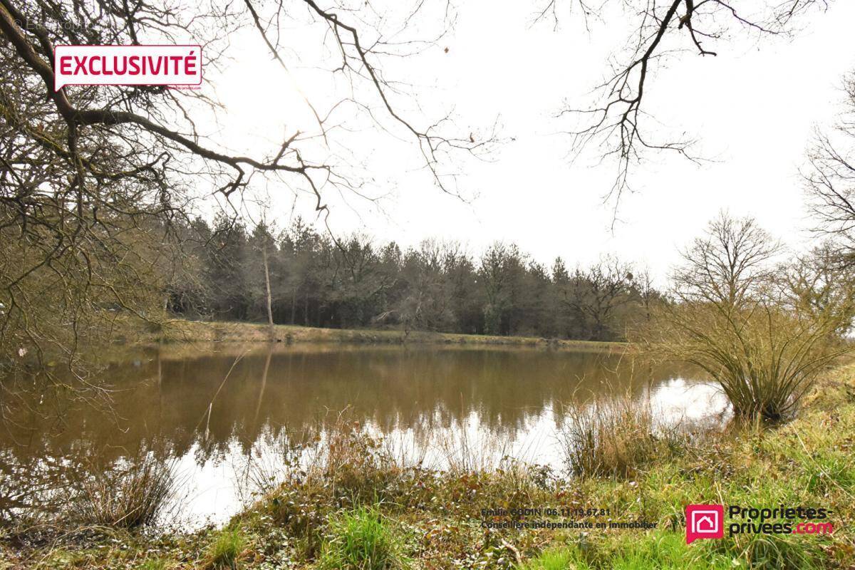 Terrain à LA PLAINE