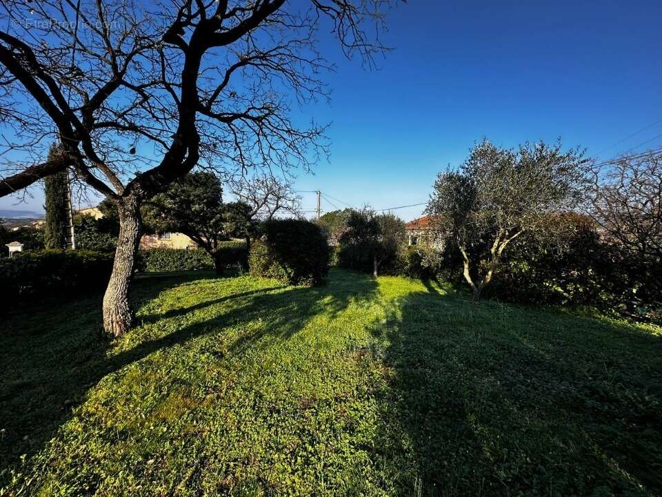 Terrain à PUGET-SUR-ARGENS