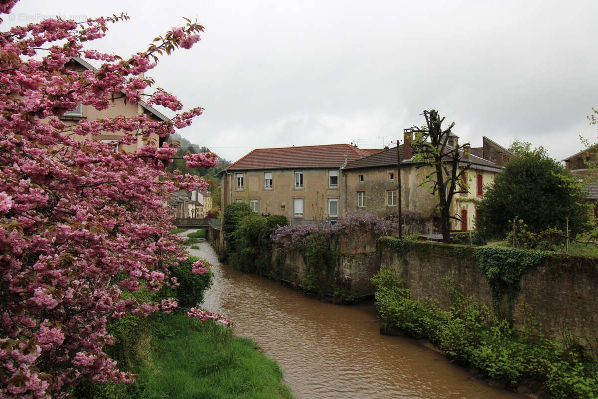 Appartement à RAON-L'ETAPE