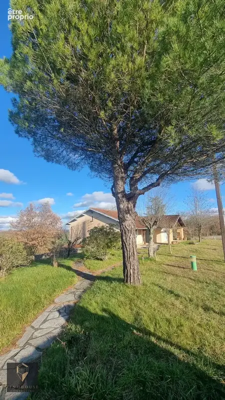 Maison individuelle T3 plain-pied / sous-sol - jardin - Pyrénées - photo 20