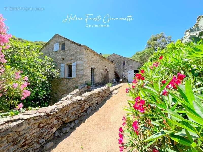 Ancien Moulin en Pierre avec dépendances sur près de 2,3 hectares – Santo-Pietro-di-Tenda - photo 5