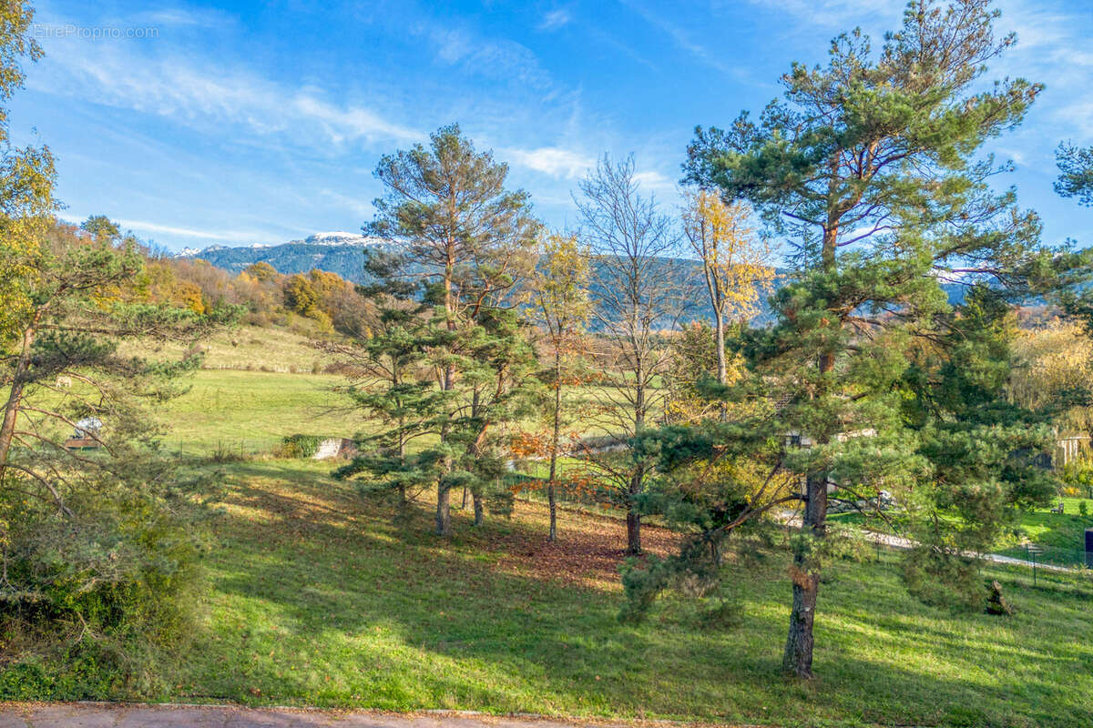 Terrain à BRIE-ET-ANGONNES