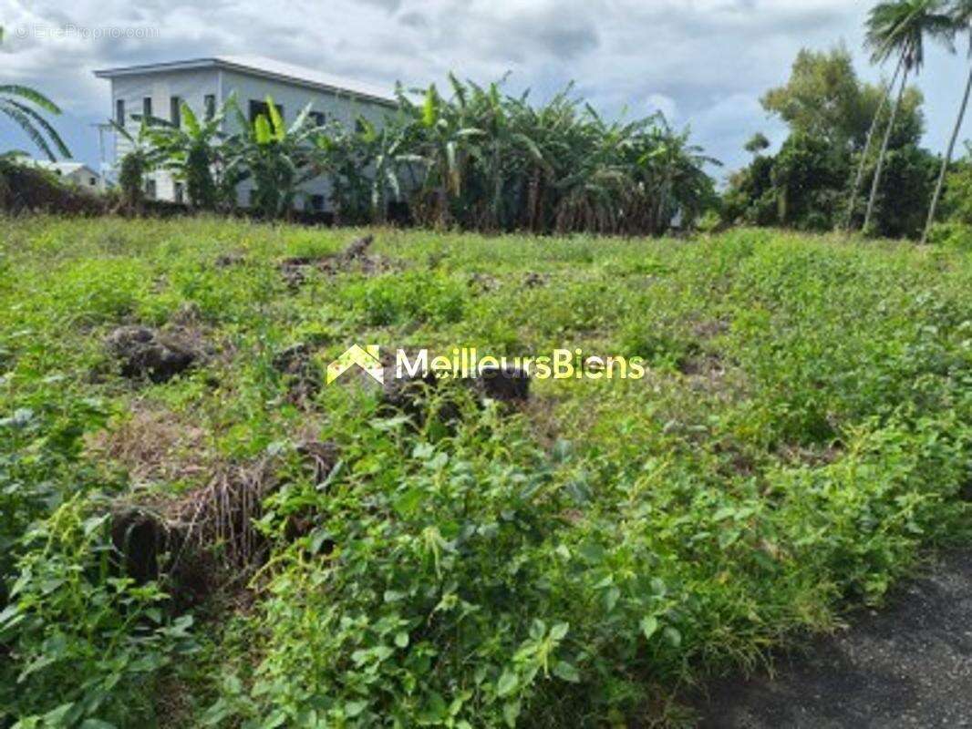 ST. BENOIT (La confiance), 3 parcelles de terrains à bâtir de 300 m² (zone UB) - photo 2