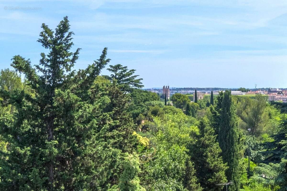 Appartement à MONTPELLIER