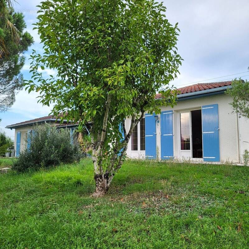 Maison à BELLEGARDE