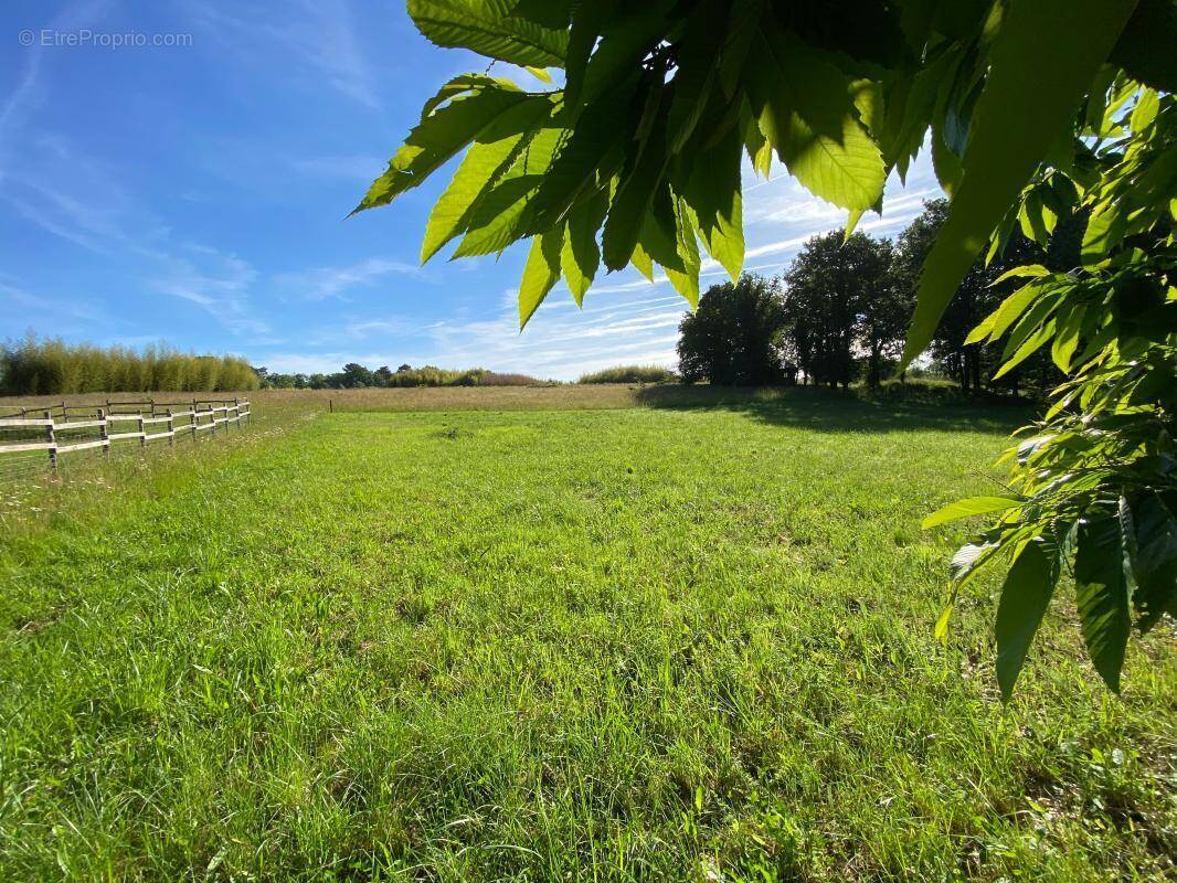 Terrain à ROUFFIGNAC-SAINT-CERNIN-DE-REILHAC