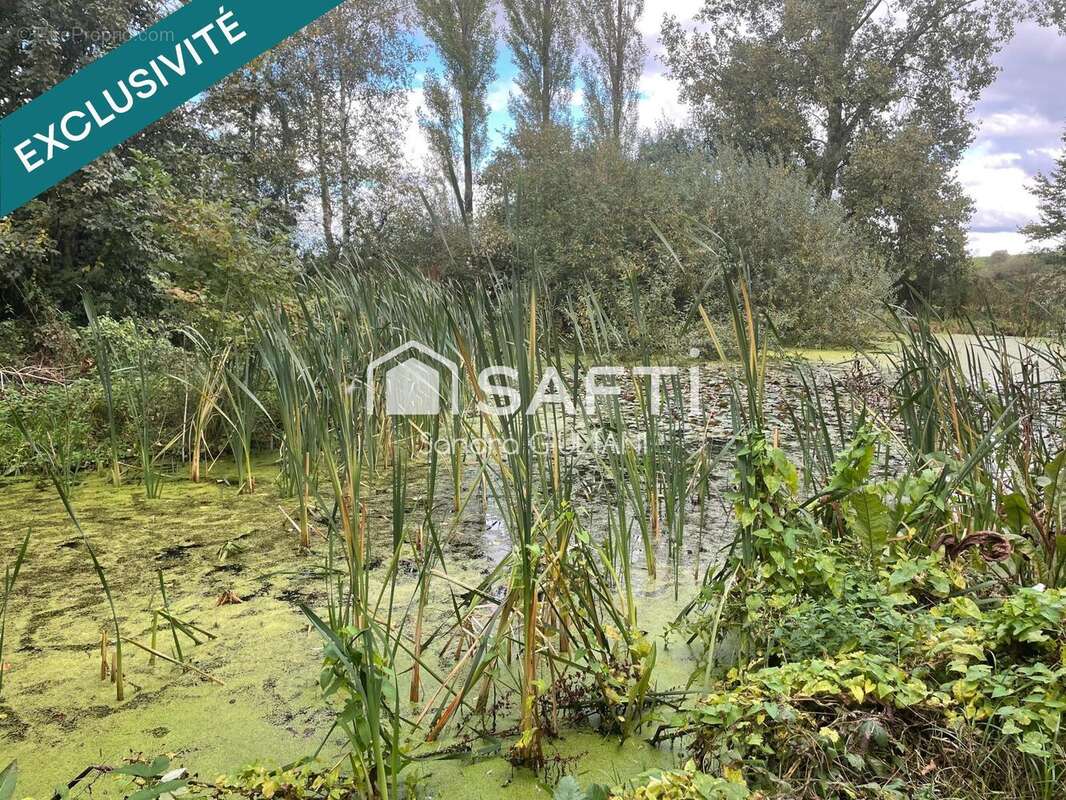 Photo 3 - Terrain à MANGIENNES