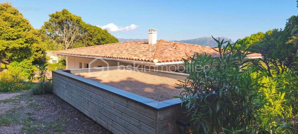 Maison à ALBITRECCIA