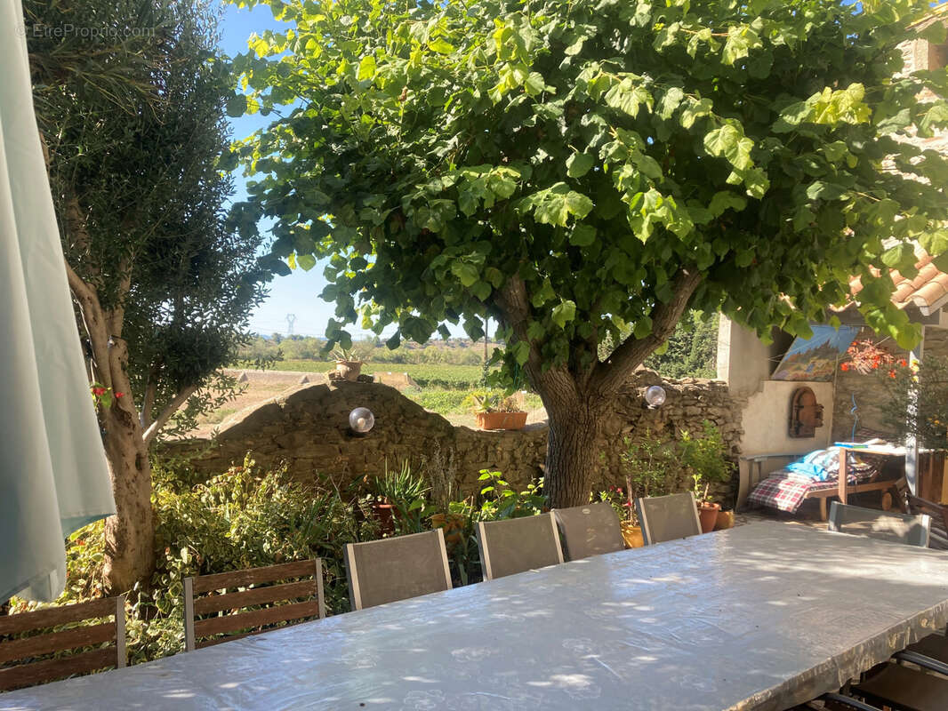 Minervois, 20mn Carcassonne Est, maison de maitre 8 chambres avec jardin et terrasse. - photo 12