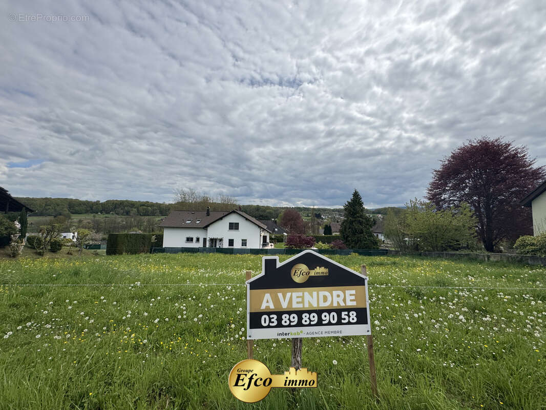 Terrain à NEUWILLER