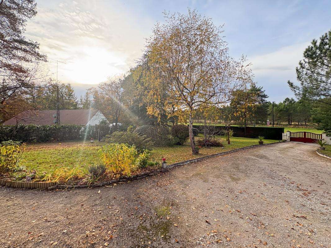 Maison à SOINGS-EN-SOLOGNE