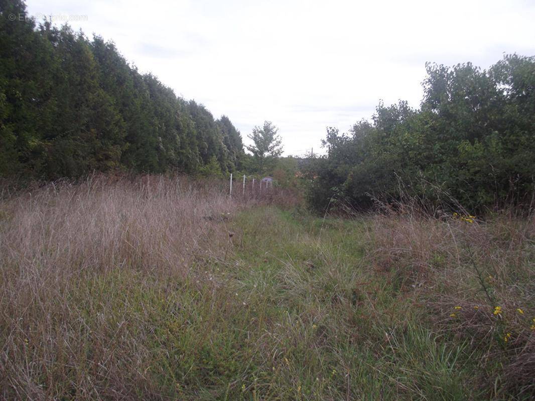 Terrain constructible - photo 1