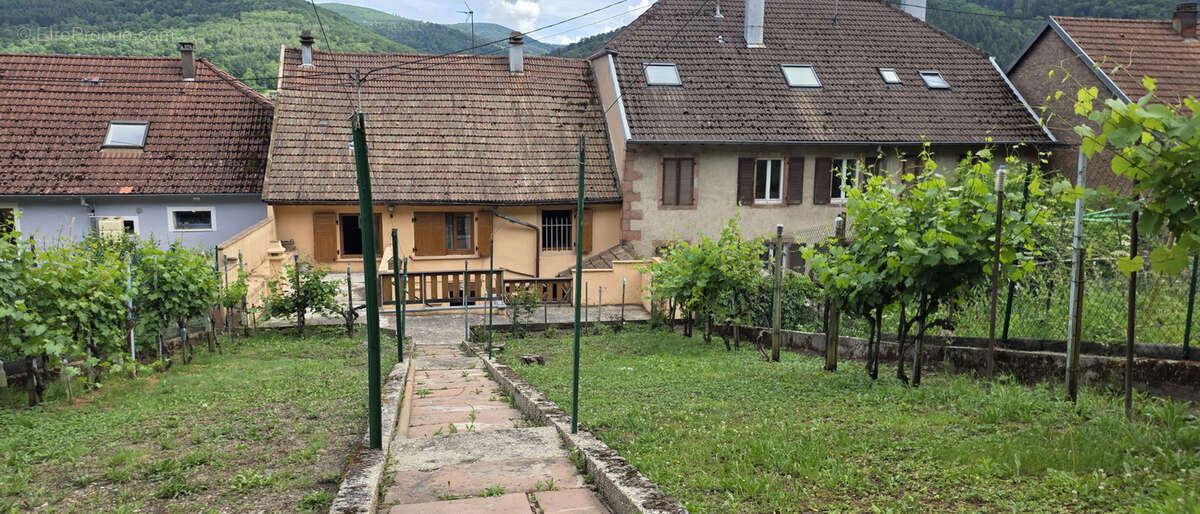 Maison à WISCHES