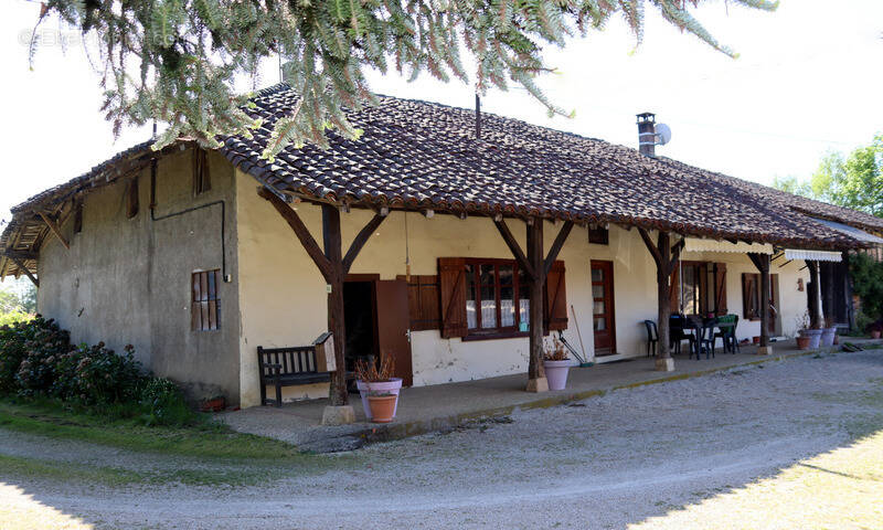 Maison à SAINT-TRIVIER-DE-COURTES