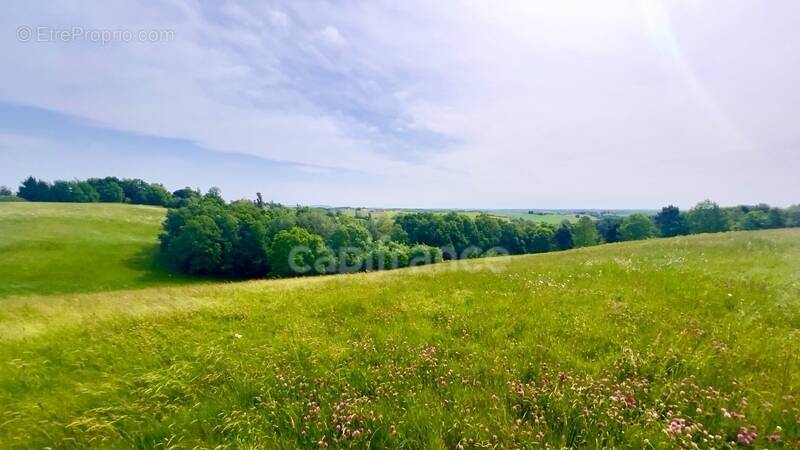 Terrain à MONTAUBAN