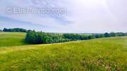 Terrain à MONTAUBAN