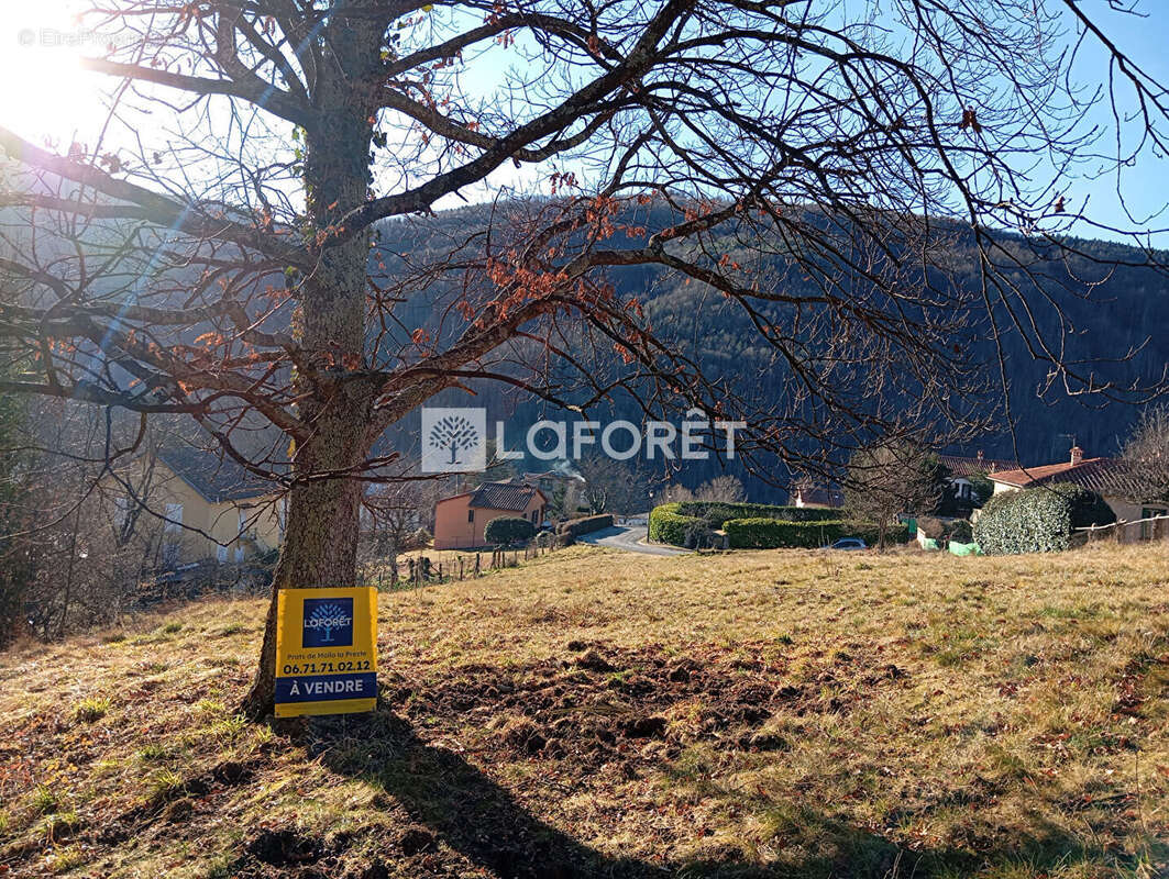 Terrain à PRATS-DE-MOLLO-LA-PRESTE