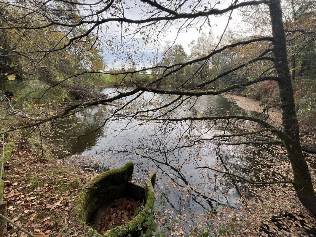 Maison à CHAMPNIERS-ET-REILHAC