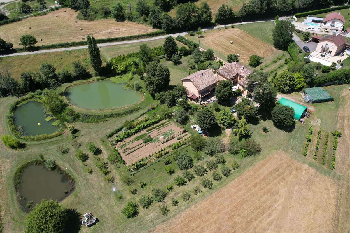 Maison à REVEL-TOURDAN