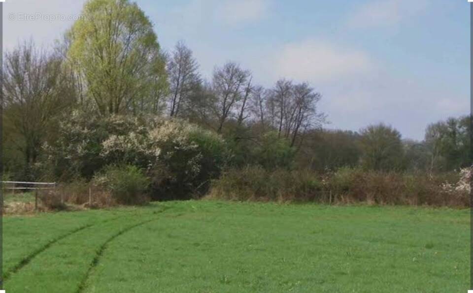 Terrain à VILLIERS-SUR-MORIN