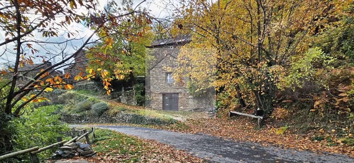 Maison à SAINT-ANDRE-DE-LANCIZE