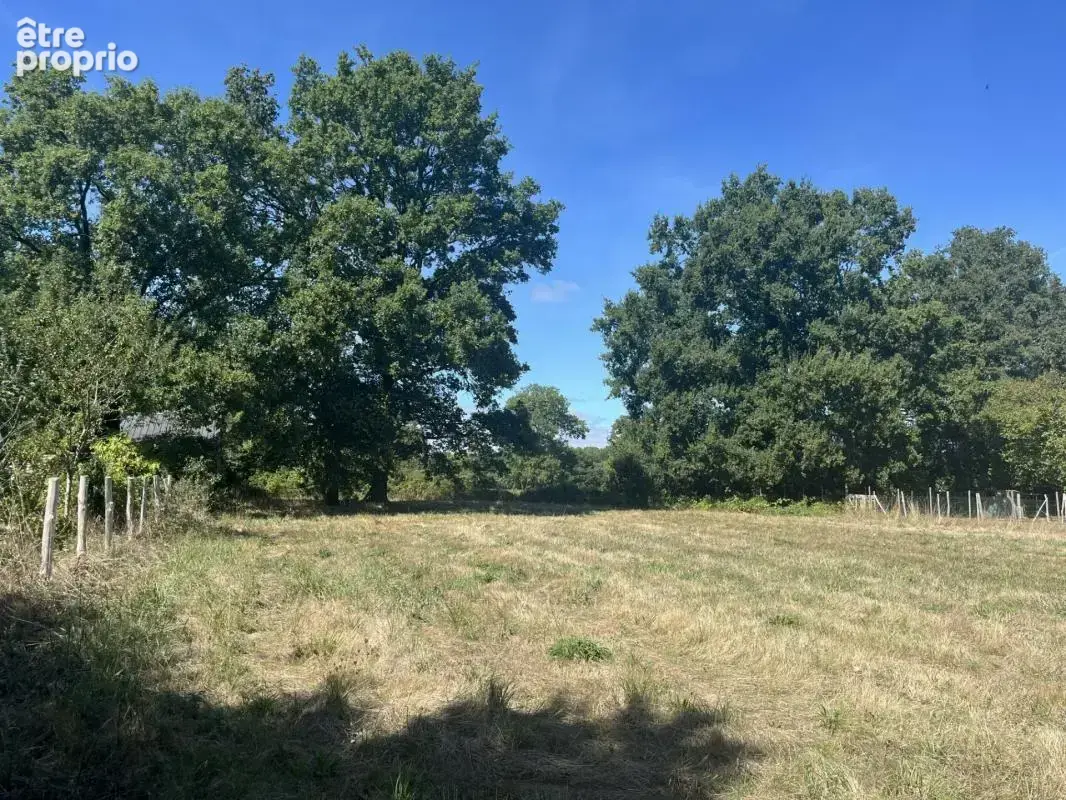 Terrain à constructible de 1 537m² – Division possible – Plessé - photo 5