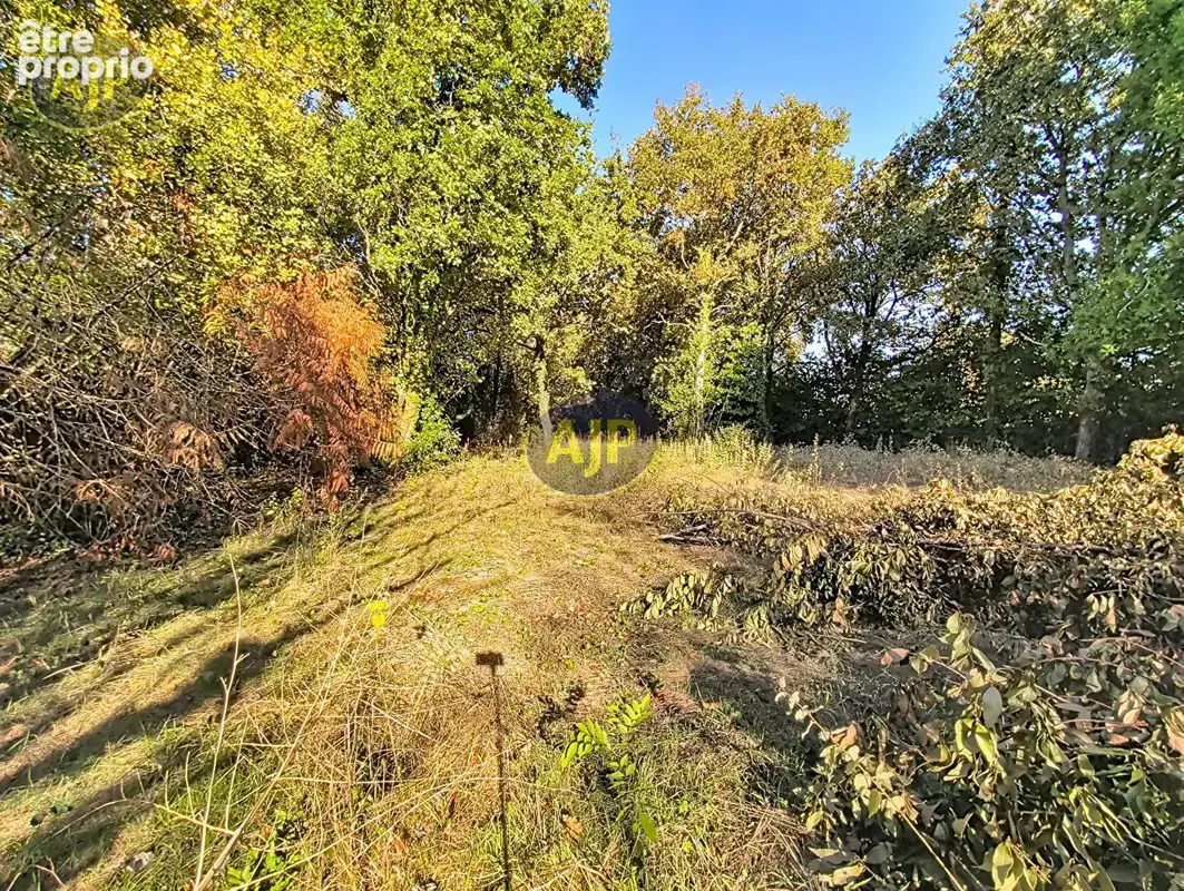 Terrain constructible, SAINT-VIVIEN-DE-MEDOC - photo 4