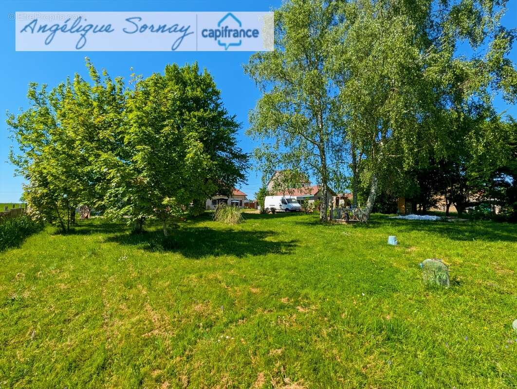 longère avec dépendances sur 3 115 m² – Francheville 39230 - photo 40