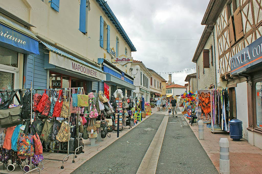 Autre à CAPBRETON